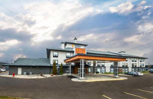 Ingersoll Hotel | Comfort Inn & Suites