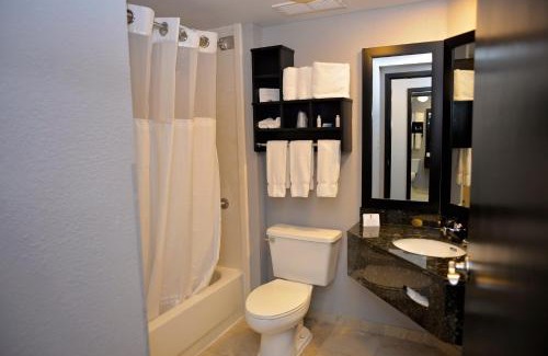Carrollton Hotel | Comfort Inn & Suites Carrollton