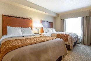 Shelby Hotel | Comfort Inn & Suites Gateway to Glacier National Park
