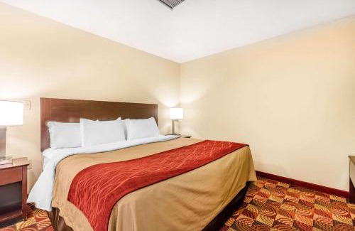 Jasper Hotel | Comfort Inn & Suites Jasper Hwy 78 West