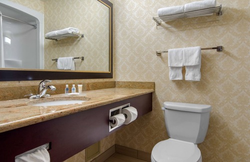 Saint-Nicolas Hotel | Comfort Inn & Suites Levis/Rive Sud Quebec city