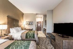 Ira Hotel | Comfort Inn & Suites Snyder