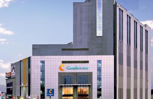 Bathinda Hotel | Comfort Inn Tulip Heights