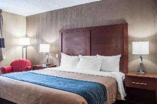 Amherst Hotel | Comfort Inn University