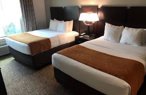 Bay City Hotel | Comfort Suites Bay City
