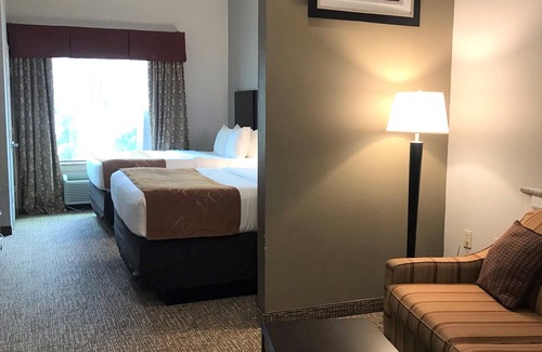 Bay City Hotel | Comfort Suites Bay City