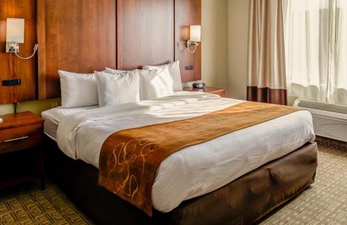 Georgetown Hotel | Comfort Suites Georgetown