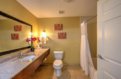 Urbana Hotel | Comfort Suites Urbana Champaign, University Area