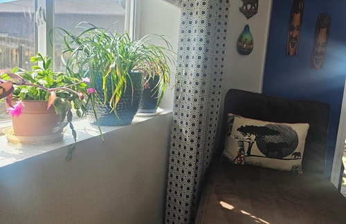 Washington Virginia Vale House | Comfortable & Cultured in the City