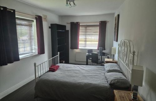 Dublin House | Comfortable Doubleroom beside Tramline