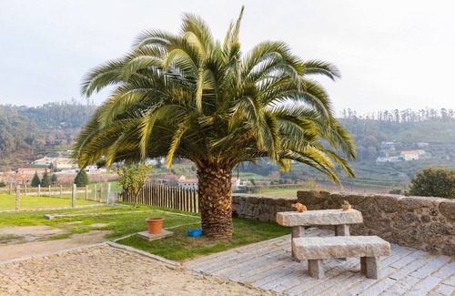 Penso Apartment | Complete apartment in a country estate