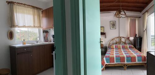 Kontos Apartment | Completely self-contained rental, Aegina