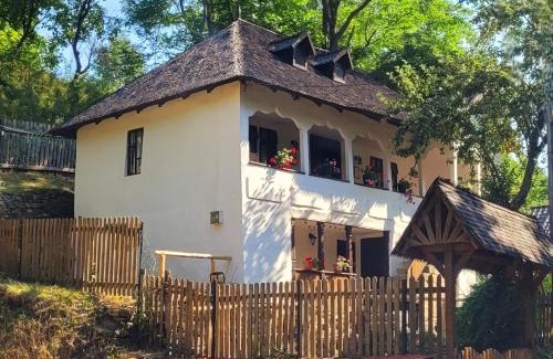 Braesti Villa | Conacul Copilăriei