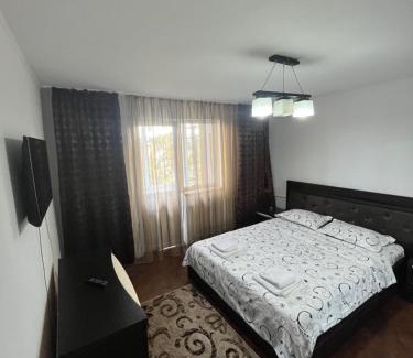 Ramnicu Valcea Apartment | Concept home Valcea