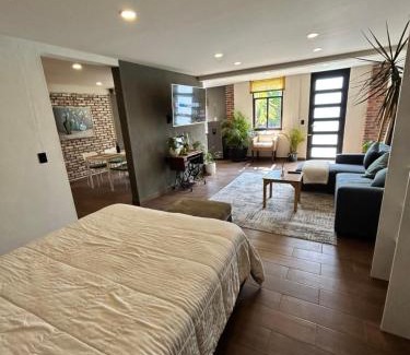 Metepec Apartment | Condesa Metepec loft y jardín