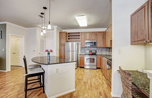 Texas Medical Center Condo | Condo Near Texas Med Center & NRG Stadium, Pet Friendly