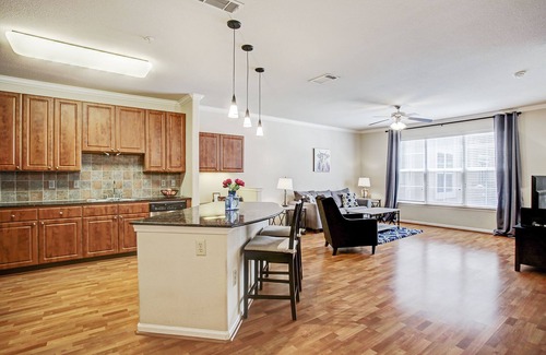Texas Medical Center Condo | Condo Near Texas Med Center & NRG Stadium, Pet Friendly