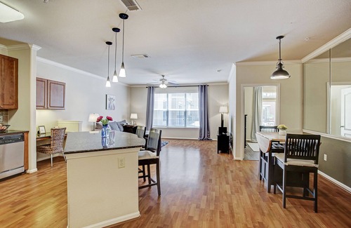 Texas Medical Center Condo | Condo Near Texas Med Center & NRG Stadium, Pet Friendly