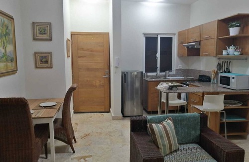 Ciudad Nueva Apartment | CONTEMPORARY 1BR APT - 5 MINS FROM COLONIAL ZONE