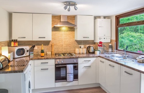 Caerwys Cottage | Contemporary mini pod with one double pull-out bed and en suite shower and W.