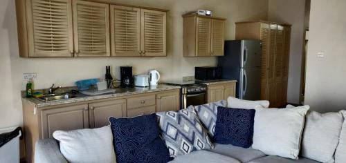 True Blue Apartment | Cool Running Apartments