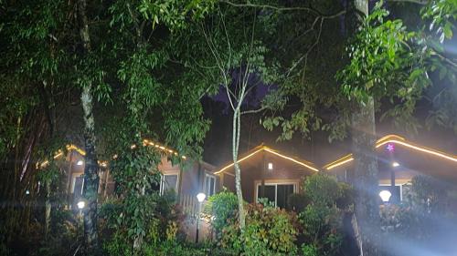 Virarajendrapet House | Coorg amodhini