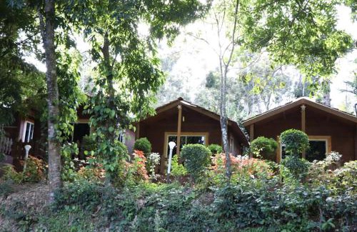 Virarajendrapet House | Coorg amodhini
