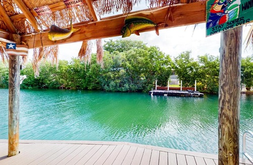 Bay Point House | Coral Queen Palm