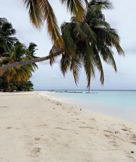 Gemanafushi House | Coral Shine