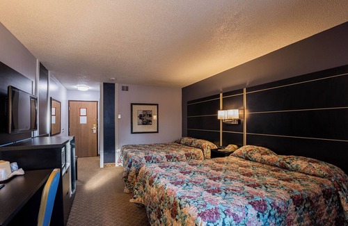 Hastings Hotel | Coratel Inn and Suites By Jasper Hastings - Standard 2 Queen Bed Non Smoking
