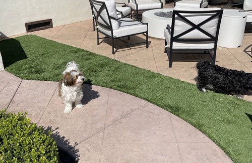 Coronado House | Coronado Village Beauty