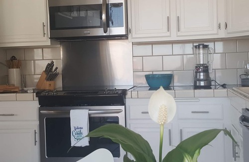 Coronado Condo | Corondo Shores Unique & Beautiful Condo - Stunning Views! Pet Welcome!