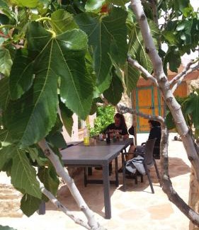 Molinos House | Corral De La Solana