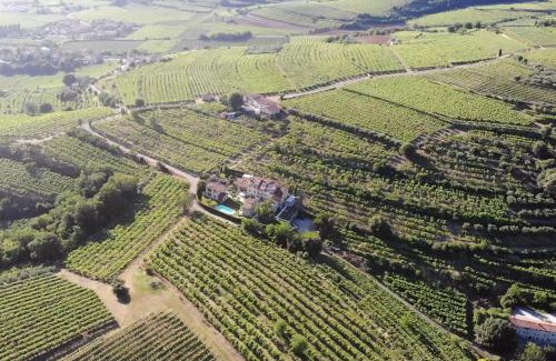 Soave House | Corte dei Soavi