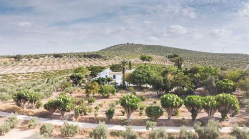 Cabra House | Cortijo Don Simón