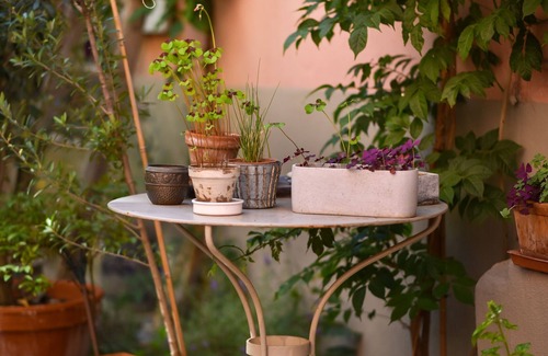 Ribeauville House | Cosy and quiet gîte with a paved courtyard planted with flowers, 5 minutes from the center.