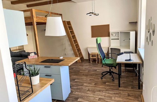 Holesovice Apartment | Cosy apartment for 2 guests with WIFI and pets allowed