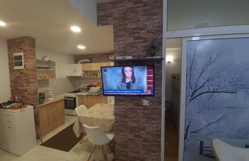 Mavrovo Apartment | Cosy apartment in Mavrovo