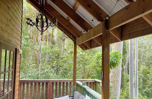 Salisbury Cabin | Cosy Cabin in Ancient Rainforest Barrington Tops