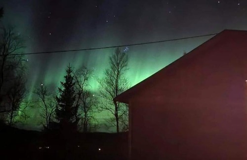 Sorreisa Apartment | Cosy cabin in North-Norway, Nearby Senja.