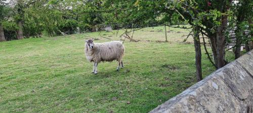Darlington House | Cosy Cottage