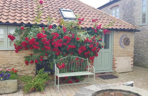 Glentham Apartment | Cosy Studio Cottage