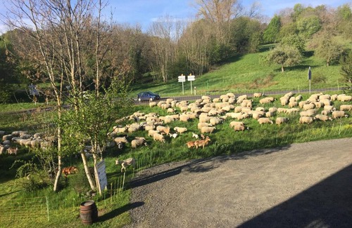 Orcines Bed & Breakfast | Coté Puy-De dôme