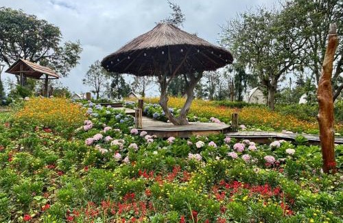 Co To Resort | CoTo Village Resort & Restaurant