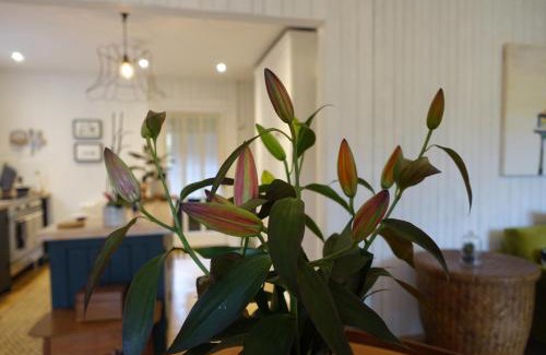 Temple Guiting House | Cotswolds Swedish Cottage