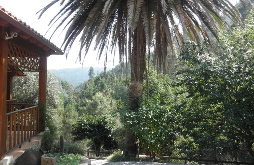 Figueiro dos Vinhos Cottage | Cottage easy access, very quiet and comfort.