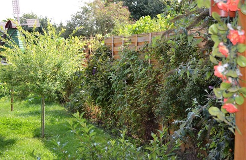 Krakow am See Apartment | Cottage garden view