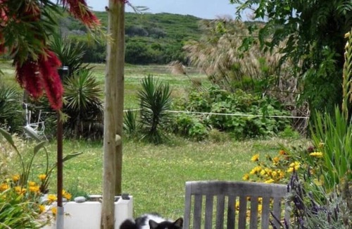 Cavaleiro Cottage | Cottage in a Horse farm 200m from the beach