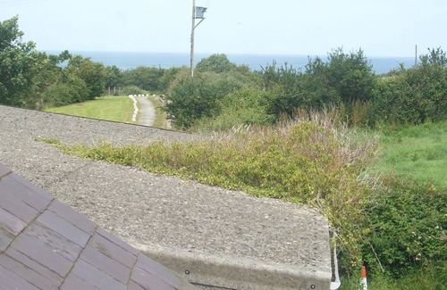 Newport Cottage | Cottage sleeping up to 6 in 3 bedrooms, peaceful. 1 mile to Newport Town Centre