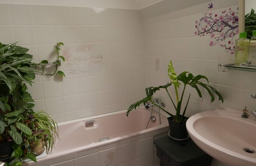 Plouray Bed & Breakfast | Cottagety Bian 1 Chambre d Hote